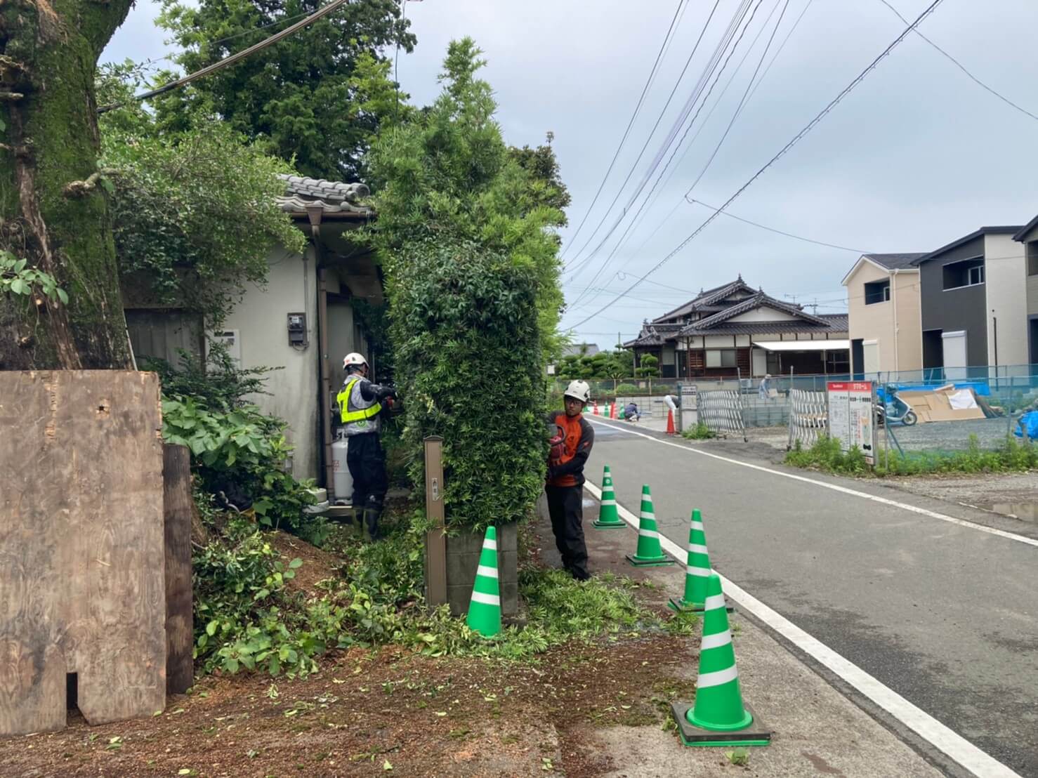 生垣の剪定を行うスタッフ杉山と田嶋